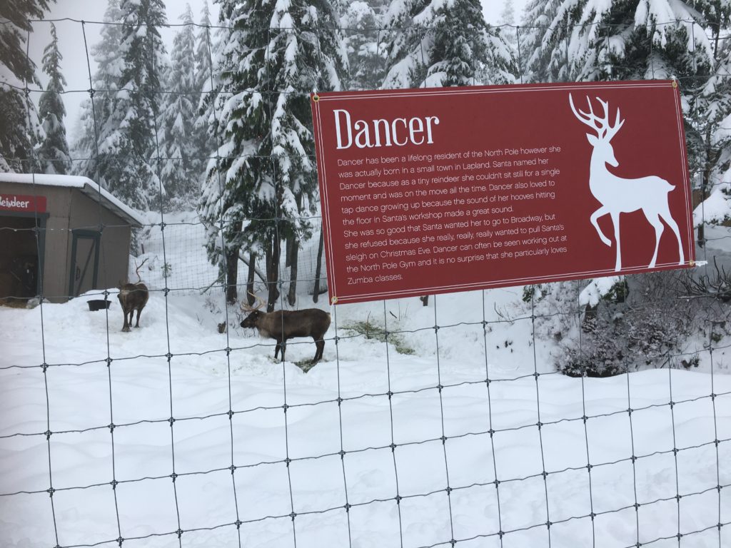 Even the reindeer are ready for the big night.